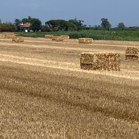 Agriturismo Ca' Alleata Каорле Екстериор снимка