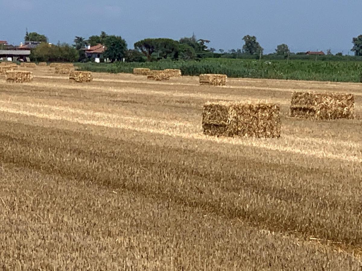 Agriturismo Ca' Alleata Каорле Екстериор снимка