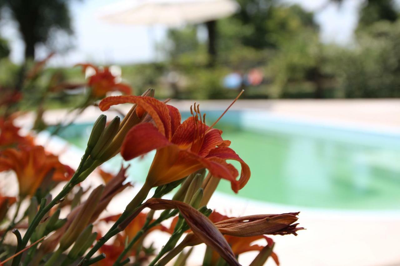 Agriturismo Ca' Alleata Каорле Екстериор снимка